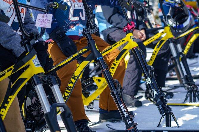 Ski Bike Rental in South Lake Tahoe - Physical demands and who will enjoy it