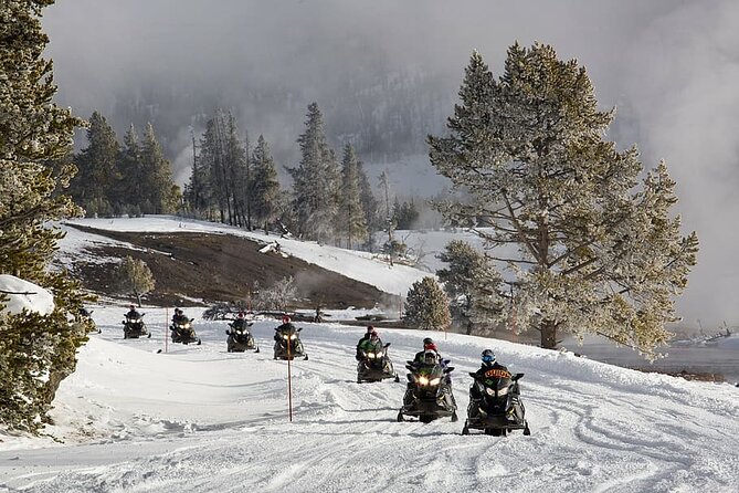 Ski-doo Snow Safari in Borovets - What the one-hour itinerary feels like