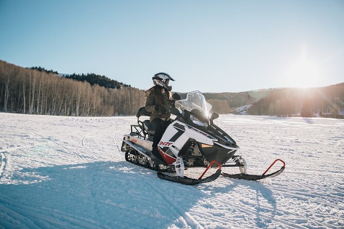Ski-doo Snow Safari in Borovets - Practical planning for your Borovets day