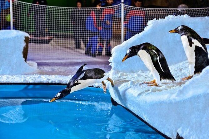Ski Dubai Admission Ticket with Optional Transfer - Penguins add a memorable change of pace