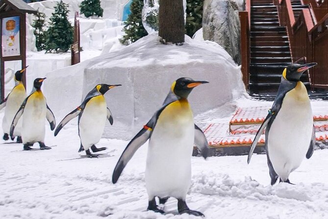 Ski Dubai Full Day Admission Ticket - Key things to know before you book