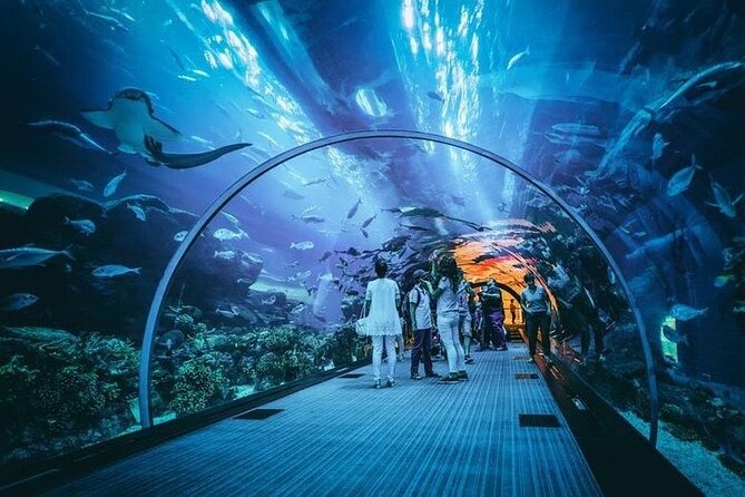 Ski Dubai Tickets with options - A strange and fun Dubai day indoors
