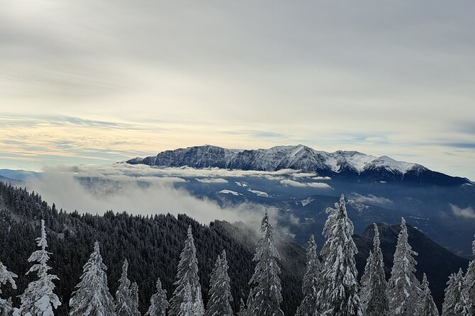 Ski Lessons Poiana Brasov - Mountain Postavarul and the wider resort setting