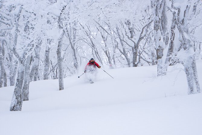 Ski or Snowboard Lesson in Shiga Kogen (4Hours) - Four hours to work on the skiing you actually want