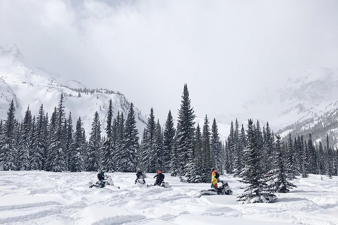 Ski & Snow Tour to Bakuriani from Kutaisi with Borjomi Stop - Choosing your Bakuriani activity