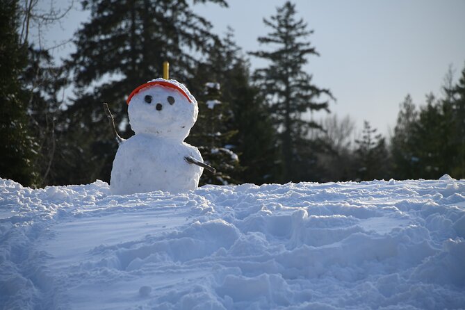 Ski & Snow Tour to Bakuriani from Kutaisi with Borjomi Stop - Who will enjoy this day most
