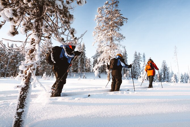 Ski Trekking Safari in Lapland - Skiing through forest, hills, and lakes