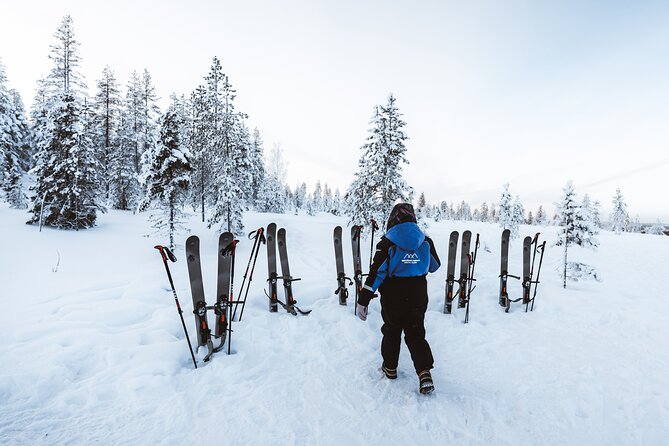 Ski Trekking Safari in Lapland - Learning the basics before entering fresh snow