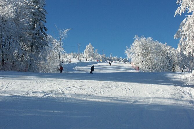 Skiing For Beginners - Private Day Trip from Krakow - Leaving Krakow in a private car or minivan