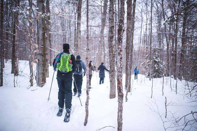 Skiing (Hok Ski) Excursion in Jacques-Cartier National Park - Key points to know before you book