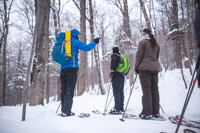 Skiing (Hok Ski) Excursion in Jacques-Cartier National Park - From Quebec City to the park at 10 am