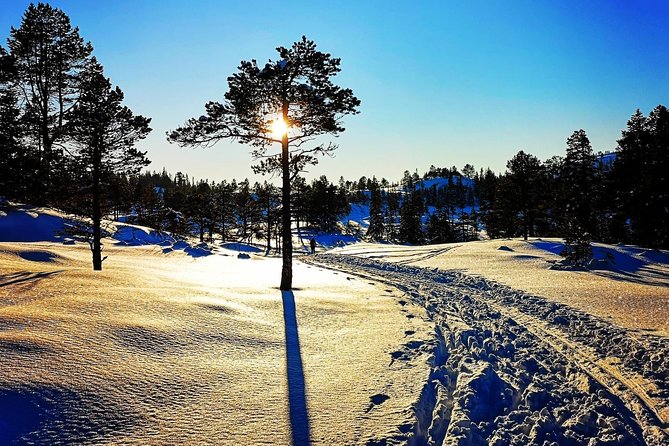 Skiing in winter wonderland - Leaving Trondheim for the snowy forest