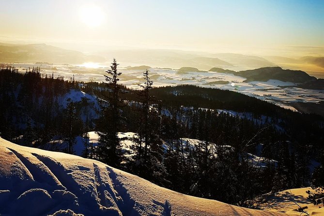 Skiing in winter wonderland - Following the trees into Norwegian winter