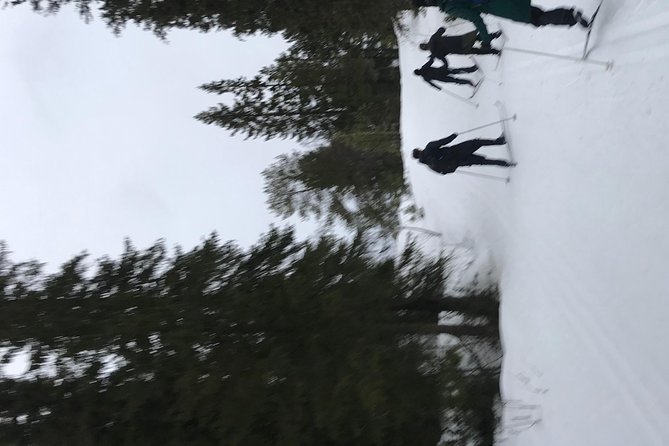 Skiing in winter wonderland - Is $232.82 good value for three hours?