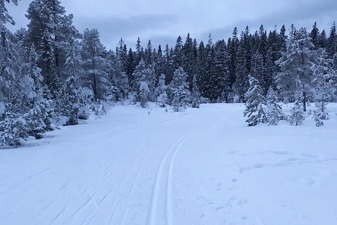 Skiing in winter wonderland - Who should book this experience?