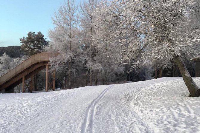 Skiing in winter wonderland - Booking, meeting point, and cancellation