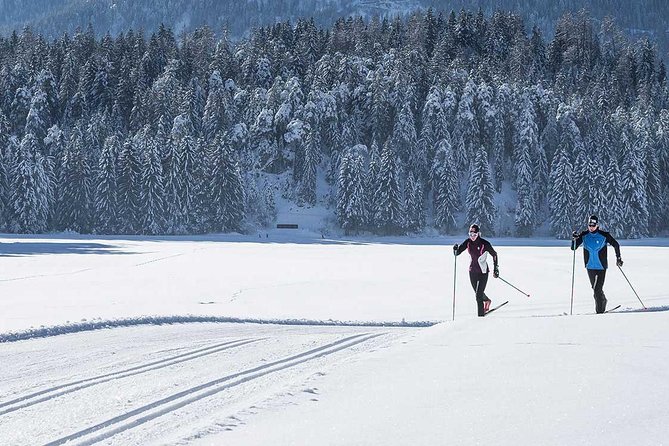 Small-Group Lapland Cross Country Ski - Starting at Maakuntakatu 29