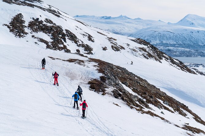 Small Group Snowshoe Hike in Tromso - Key points at a glance