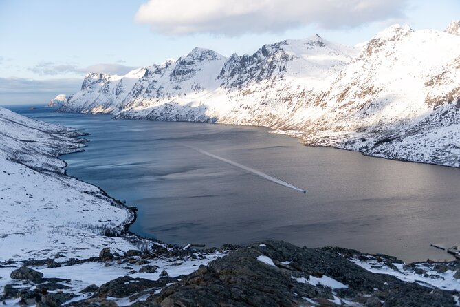 Small Group Snowshoe Hike in Tromso - Warm drinks, pastries, and a useful pause
