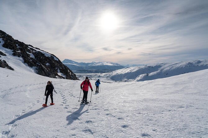 Small Group Snowshoe Hike in Tromso - Climbing toward the 10 o’clock peak