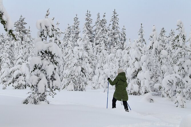 Small-Group Snowshoeing Adventure In Lapland - Leaving Rovaniemi for the Arctic Forest