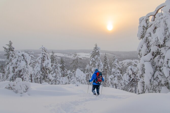 Small-Group Snowshoeing Adventure In Lapland - Learning to Walk on Snowshoes