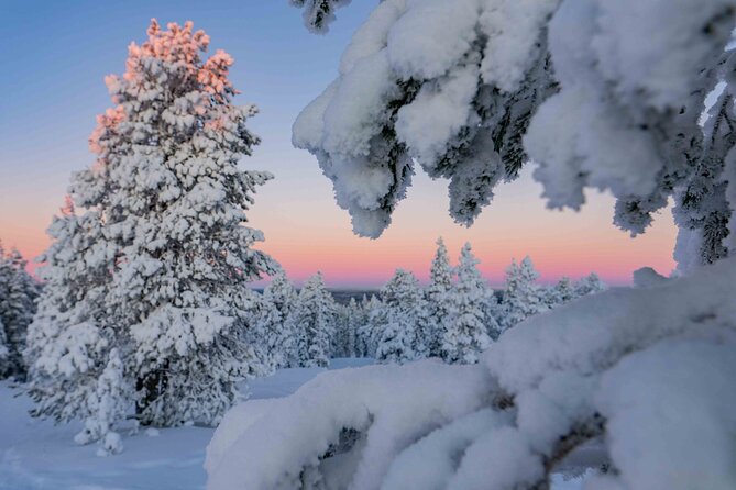 Small-Group Snowshoeing Adventure In Lapland - Warm Drinks and a Useful Pause
