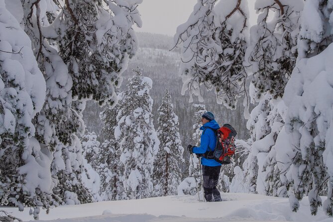 Small-Group Snowshoeing Adventure In Lapland - Clear Skies and Possible Northern Lights