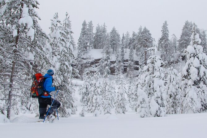 Small-Group Snowshoeing Adventure In Lapland - What You Need to Bring