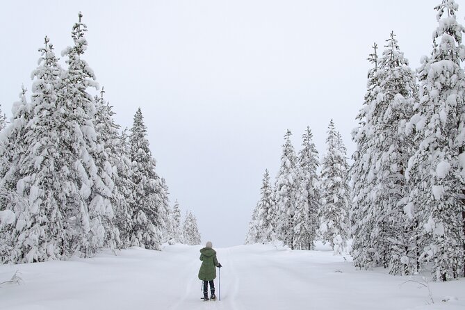 Small-Group Snowshoeing Adventure In Lapland - Who Will Enjoy This Most?