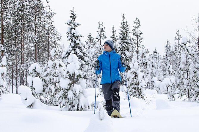 Small-Group Snowshoeing Adventure In Lapland - What the Forest Walk Feels Like