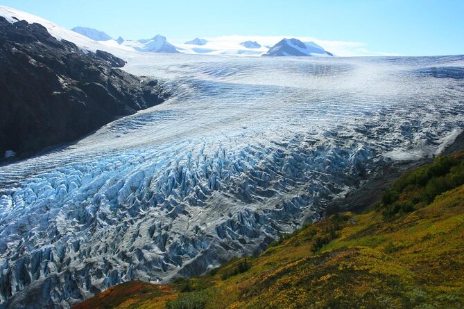 Snowmobile and Snowshoe Dual Adventure in Kenai Fjords NP - Key points to know before booking
