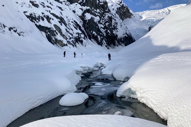 Snowmobile and Snowshoe Dual Adventure in Kenai Fjords NP - Who will enjoy this best