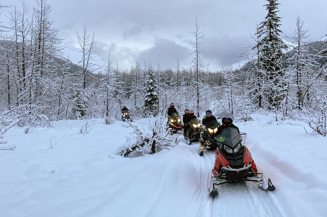 Snowmobile and Snowshoe Dual Adventure in Kenai Fjords NP - Practical details for a smooth outing