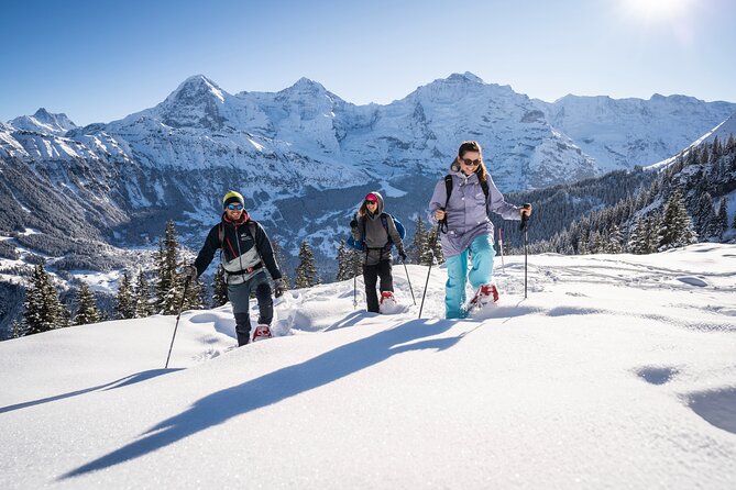 Snowshoe Adventure in the Swiss Alps - Why snowshoeing makes sense in Interlaken