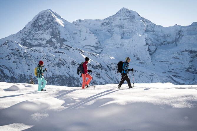 Snowshoe Adventure in the Swiss Alps - What the $130.45 price really covers