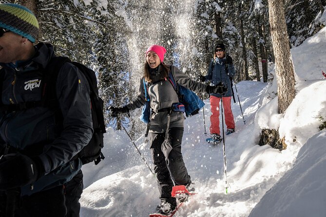 Snowshoe Adventure in the Swiss Alps - Starting at Outdoor Interlaken Base in Wilderswil