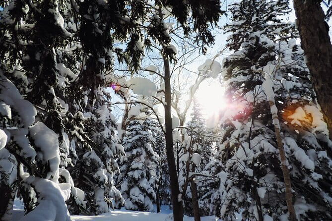 Snowshoe Adventures and Onsen Bliss Winter Escape in Furano - From Furano pickup to the mountain forest