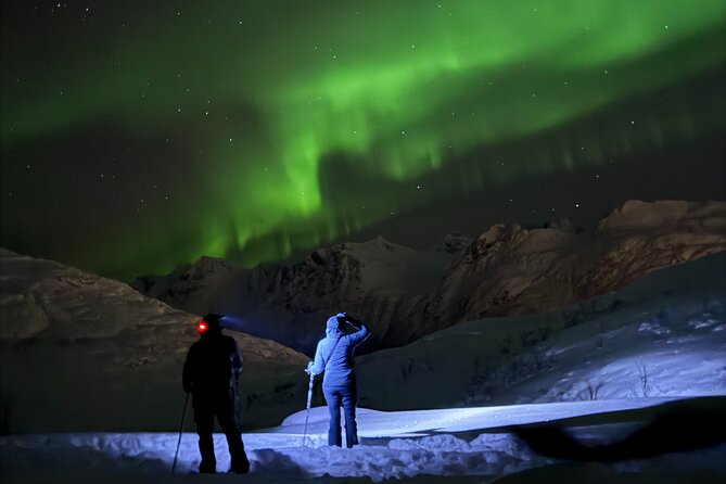Snowshoe Expedition with Local Guides in Artic Terrain - Key points to know before you book