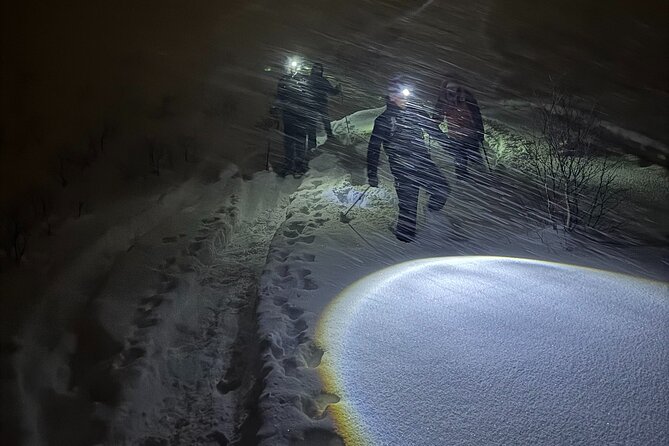Snowshoe Expedition with Local Guides in Artic Terrain - Is $192.48 a fair price?