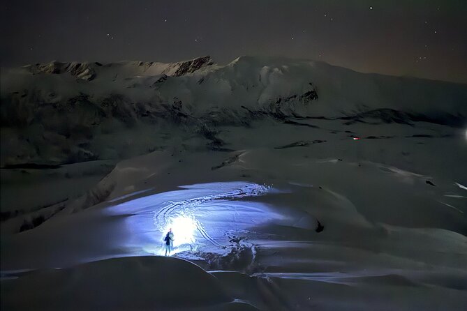 Snowshoe Expedition with Local Guides in Artic Terrain - Who will enjoy this Arctic outing most?