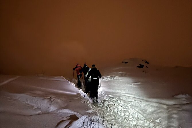 Snowshoe Expedition with Local Guides in Artic Terrain - Timing, weather, and cancellation details