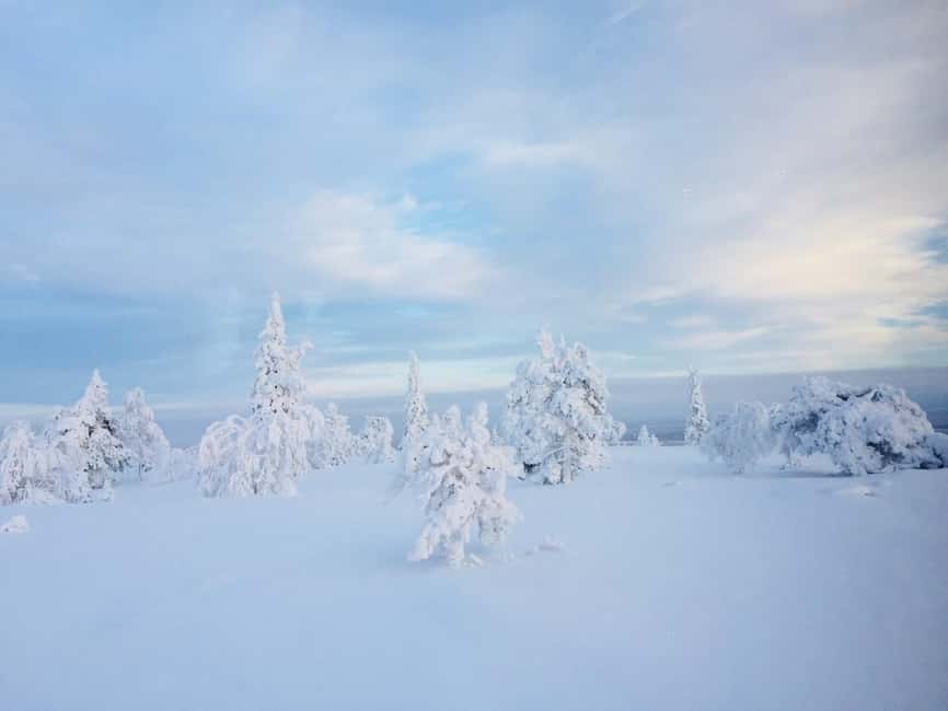 Snowshoe experience with traditional beverages in Lapland - Learning to walk on snowshoes
