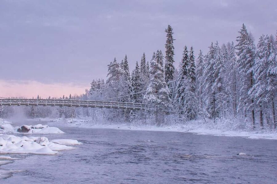 Snowshoe experience with traditional beverages in Lapland - Is $91 a fair price?