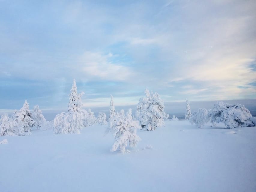 Snowshoe experience with traditional beverages in Lapland - Clothing, shoes, and winter comfort
