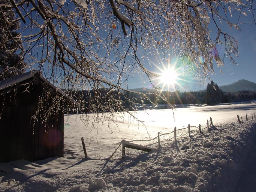 Snowshoe hike in the Allgäu - How the outing has performed