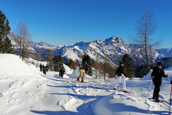 Snowshoe hike to the Cinque Torri - Why the Cinque Torri makes such a good snowshoe destination