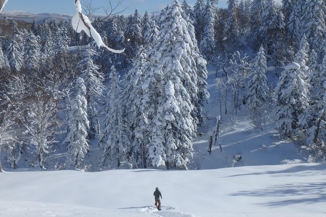 Snowshoe Hike Tour from Sapporo include hotel p/up & drop off - Jozankei and the Hoheikyo Onsen finish