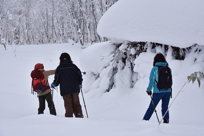 Snowshoe Hike Tour from Sapporo include hotel p/up & drop off - Equipment, clothing, and comfort