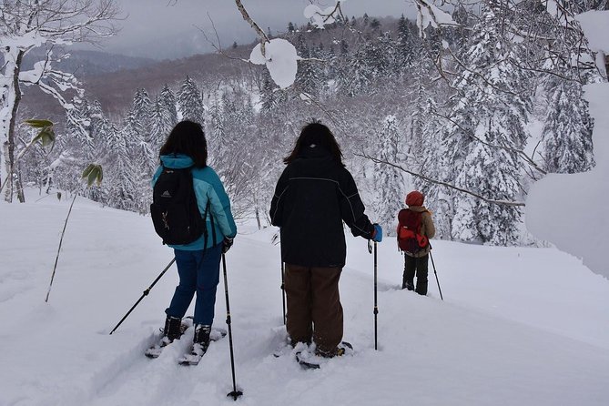 Snowshoe Hike Tour from Sapporo include hotel p/up & drop off - Is $308.73 a fair price?